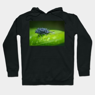 A spiny leaf beetle sipping water on the leaf Hoodie